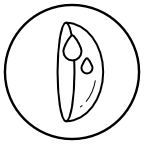 Kontaktlinse benetzt